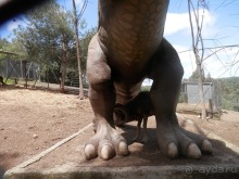 Зоопарк в Севилье