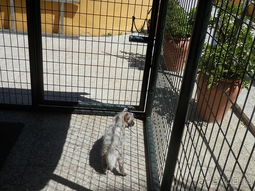 Зоопарк в Севилье