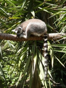 Зоопарк в Севилье