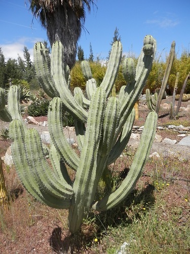 Зоопарк в Севилье