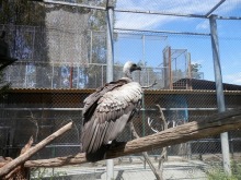 Зоопарк в Севилье