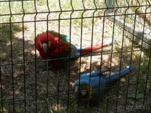 Зоопарк в Севилье