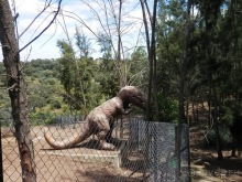 Зоопарк в Севилье