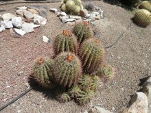 Зоопарк в Севилье