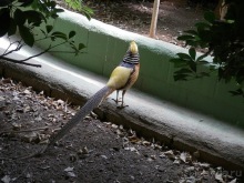 Зоопарк в Севилье