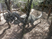 Зоопарк в Севилье