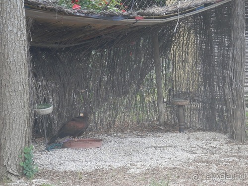 Зоопарк в Севилье