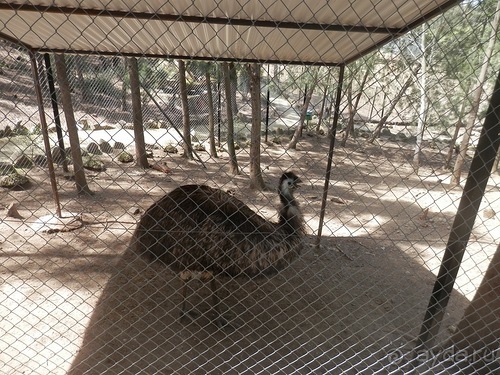 Зоопарк в Севилье