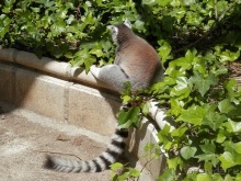 Зоопарк в Севилье