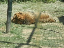 Зоопарк в Севилье