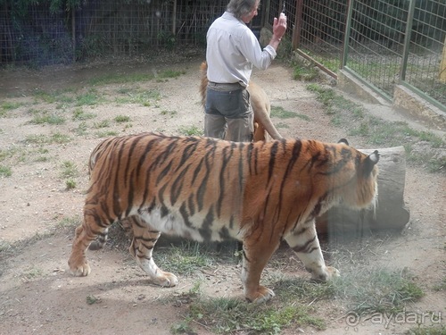 Зоопарк в Севилье