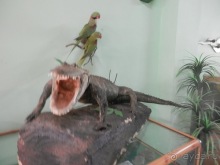 Зоопарк в Севилье