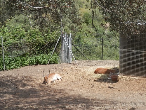 Зоопарк в Севилье