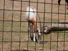 Зоопарк в Севилье