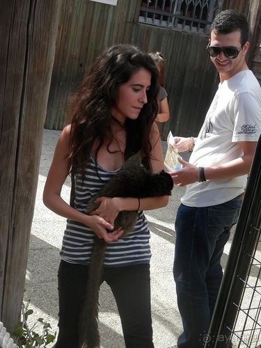 Зоопарк в Севилье