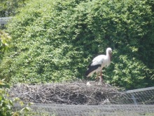 Зоопарк в Севилье