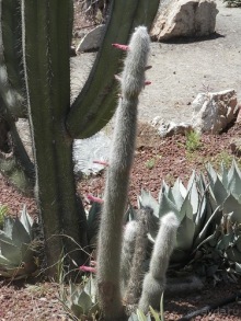 Зоопарк в Севилье