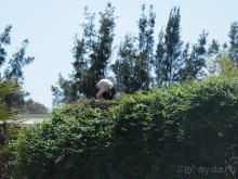 Зоопарк в Севилье