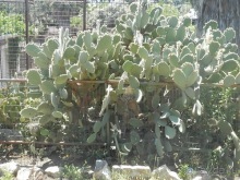 Зоопарк в Севилье