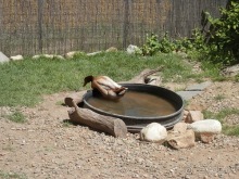 Зоопарк в Севилье