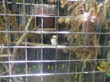 Зоопарк в Севилье