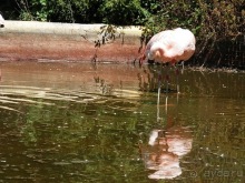 Зоопарк в Севилье