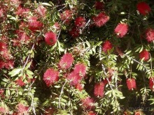 Зоопарк в Севилье