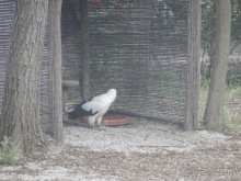 Зоопарк в Севилье