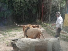 Зоопарк в Севилье