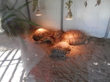 Зоопарк в Севилье