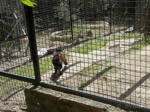 Зоопарк в Севилье