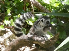 Зоопарк в Севилье