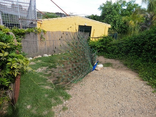 Зоопарк в Севилье