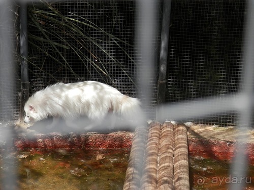 Зоопарк в Севилье