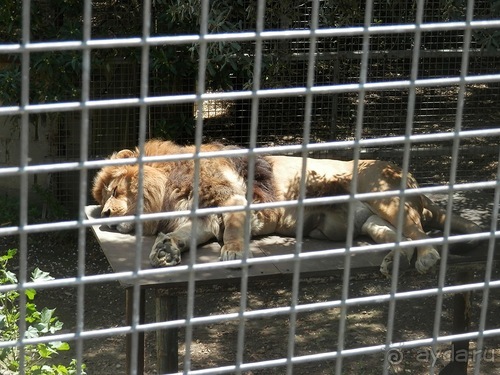 Зоопарк в Севилье