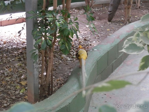 Зоопарк в Севилье