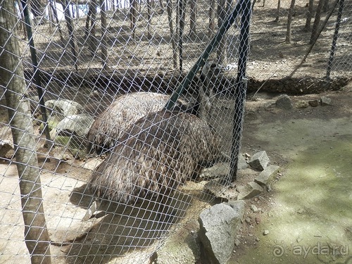 Зоопарк в Севилье