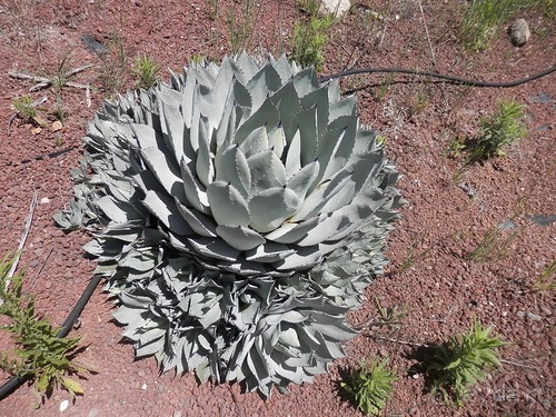 Зоопарк в Севилье