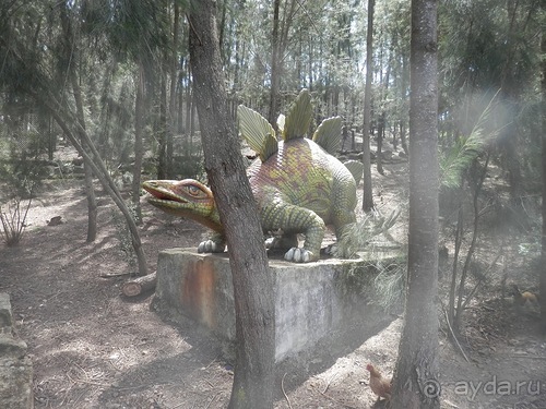 Зоопарк в Севилье