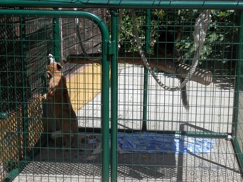 Зоопарк в Севилье