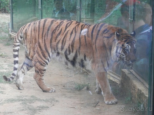 Зоопарк в Севилье