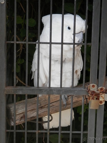 Зоопарк в Севилье