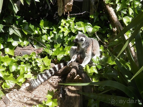 Зоопарк в Севилье