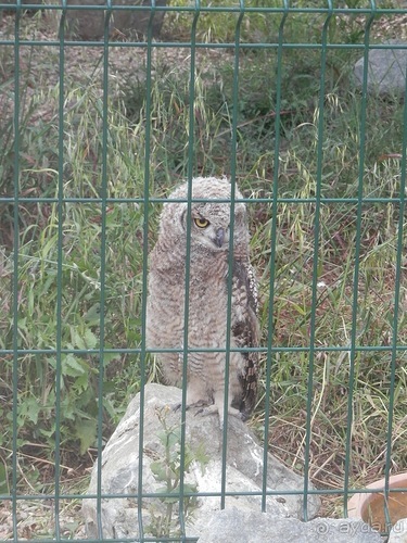 Зоопарк в Севилье