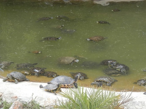 Зоопарк в Севилье