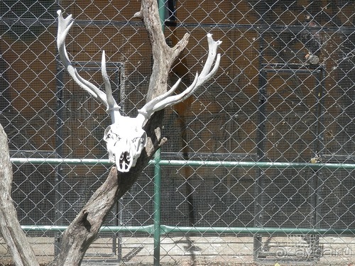 Зоопарк в Севилье