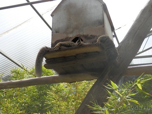 Зоопарк в Севилье