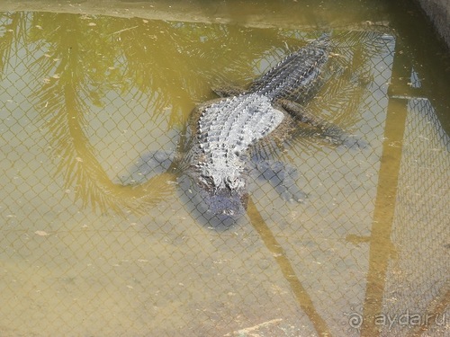 Зоопарк в Севилье