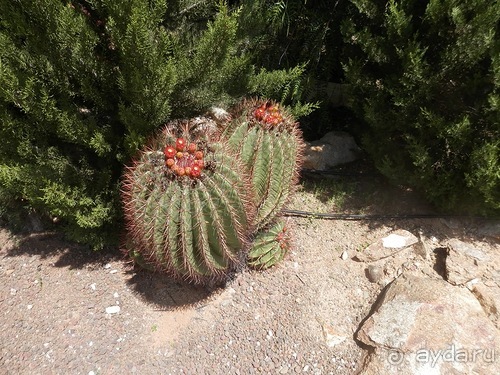 Зоопарк в Севилье