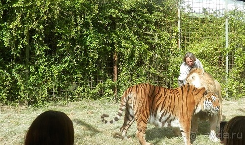 Зоопарк в Севилье